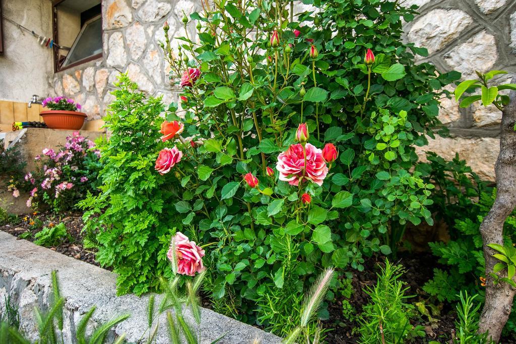 Diana Rooms And Apartments Starigrad Paklenica Exterior photo